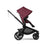 Bugaboo Kangaroo Stroller Complete - Black/Dark Cherry