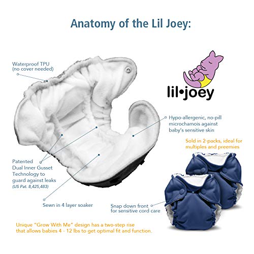 Lil Joey All in One Cloth Diaper - Bonnie