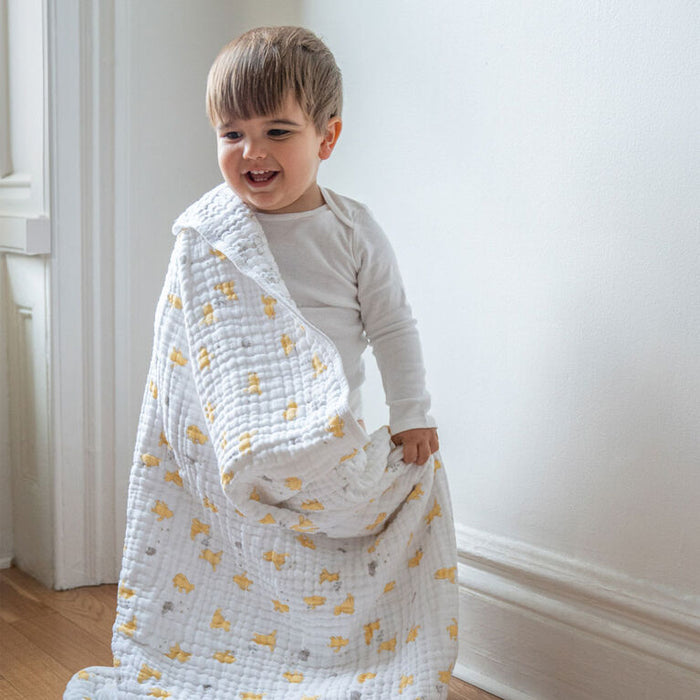 Aden + Anais Classic Muslin Blanket Winnie+friend- Dandelions