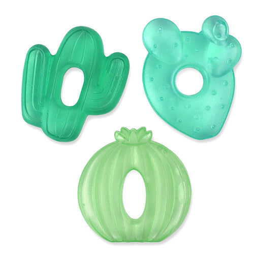 Itzy Ritzy Water Teether - Cactus