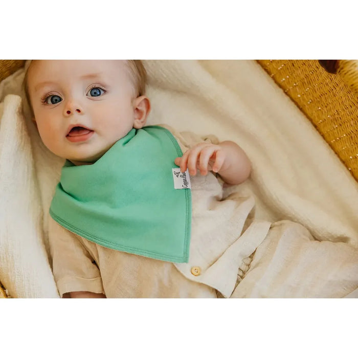 Copper Pearl Bandana Bibs Set - Veggies