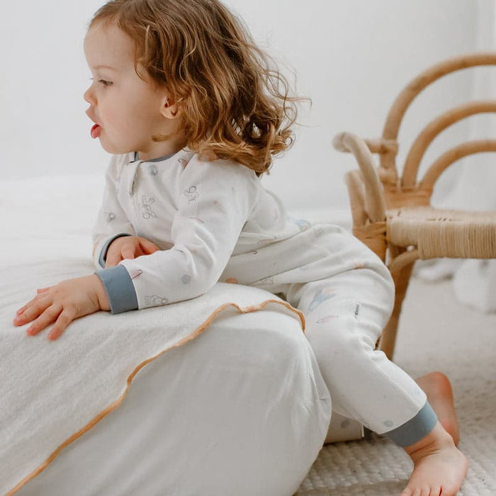 Nest Designs One-Piece Zip Footless Sleeper - Up And Away