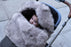 7am Enfant PlushPod Tundra - Heather Grey Dark Fur 0-18M