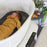 4Moms mamaRoo Sleep Bassinet - Birch