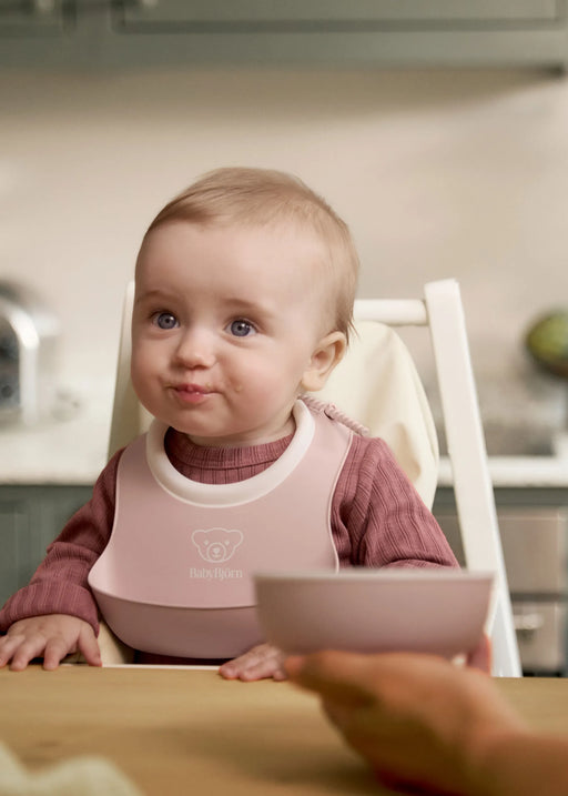 Bjorn Baby Feeding Spoon 2pk - Powder Pink