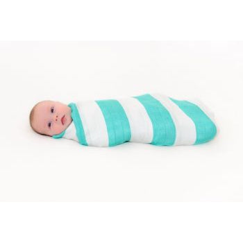 The Great Swandoodle Multi Use Bamboo Muslin - Spearmint Bebe