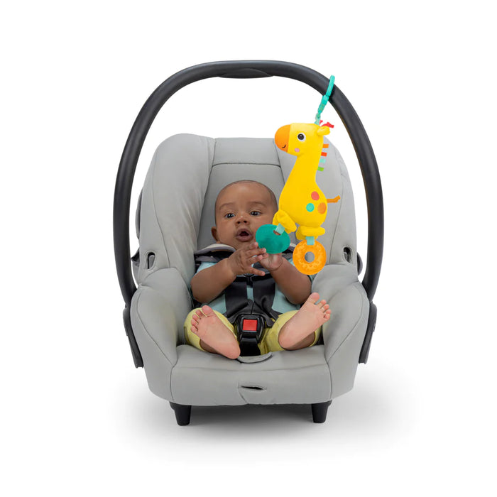 Bright Starts Safari Soother Rattle & Teether Toy