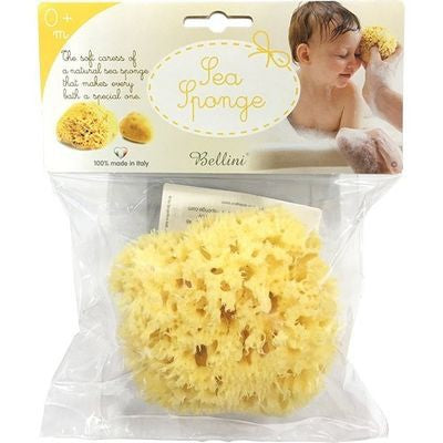 Bellini Natural Sea Sponge Honeycomb Medium