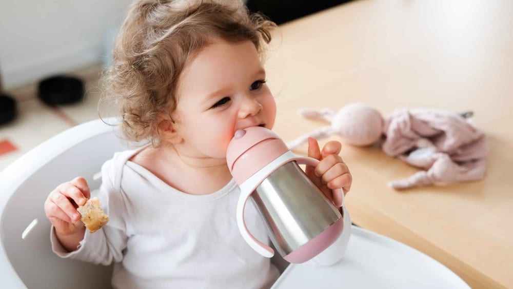 Beaba Stainless Steel Straw Sippy Cup - Rose 913482