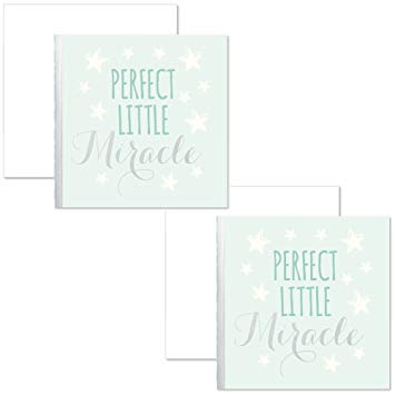 C.R.Gibson Perfect Little Miracle Gift Enclosure Card Sentimen