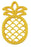 Itzy Ritzy Silicone Baby Teether - Pineapple
