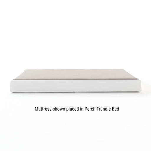 Oeuf Trundle by Monte Trundle Mattress (For Perch, River, Sparrow Trundle Beds) (Markham Store Pickup Only)