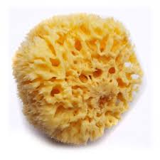Bellini Natural Sea Sponge Honeycomb Small