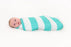 The Great Swandoodle Multi Use Bamboo Muslin - Spearmint Bebe