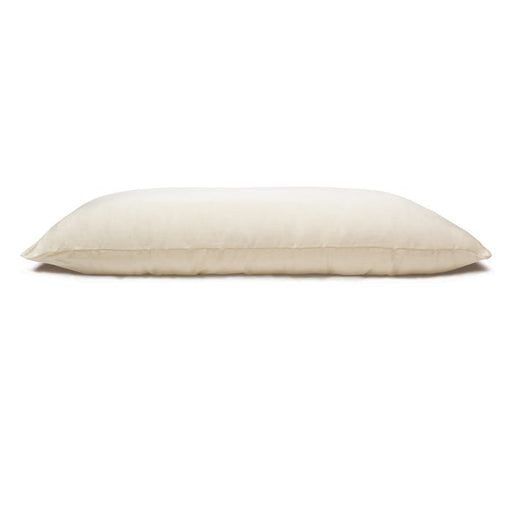 Naturepedic Organic Cotton Standard Pillowcase - 2pk SPS-400-28NAT